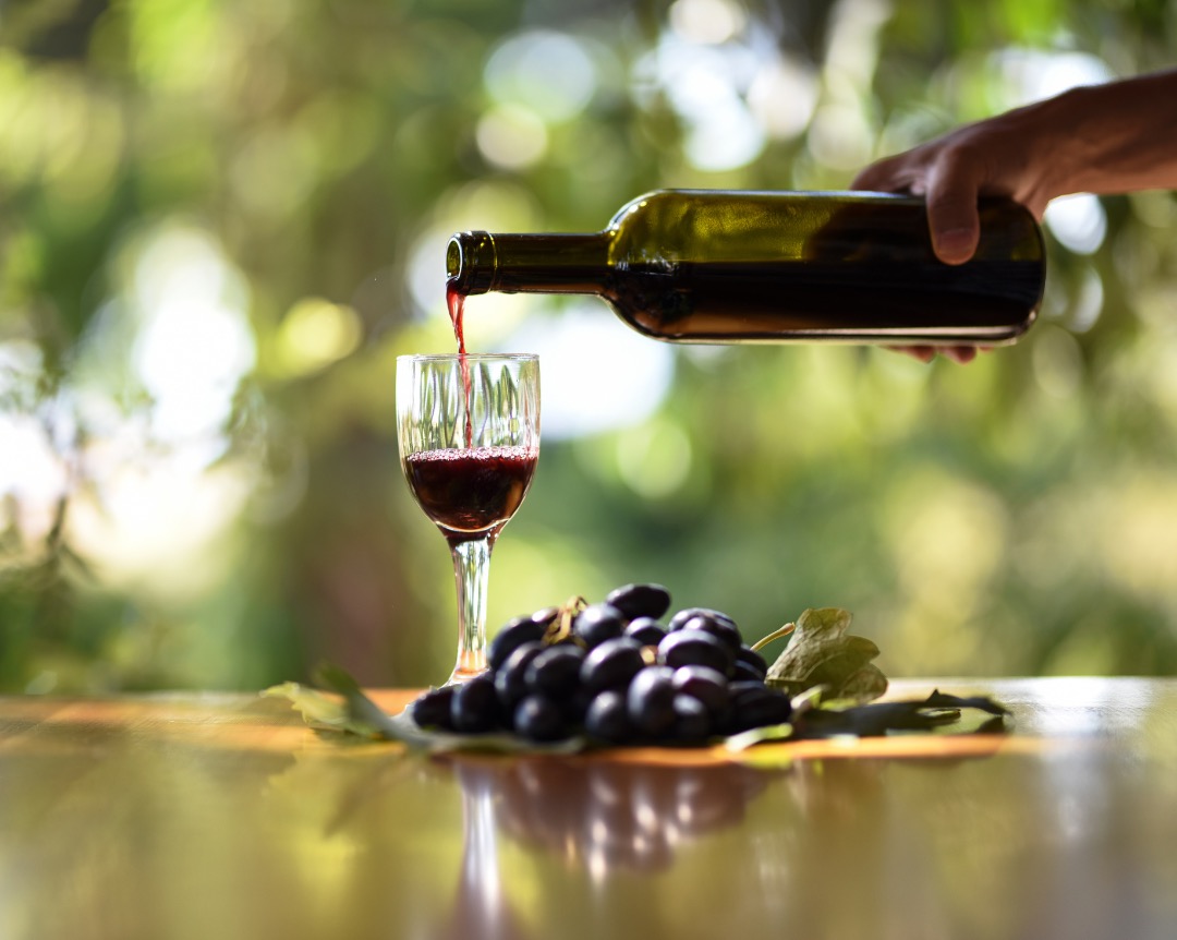 Vins coups de cœur